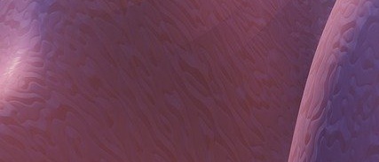 2025 노인 장기요양등급 신청