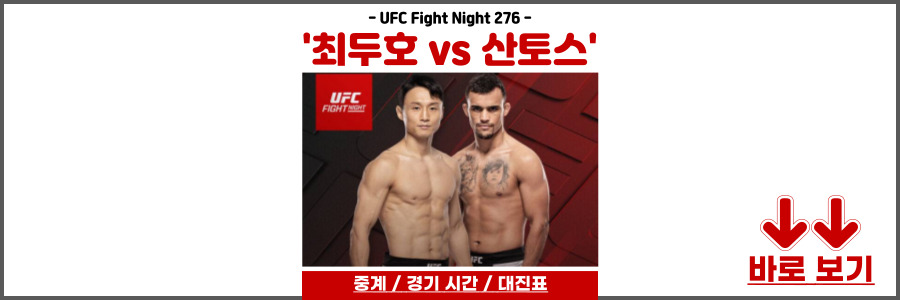 UFC Fight Night 276