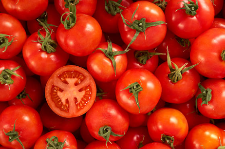 전립선에 좋은 토마토