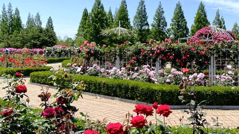 고양국제꽃박람회