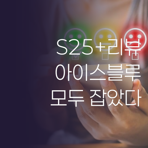 갤럭시 S25+ 자급제 아이스블루 실..