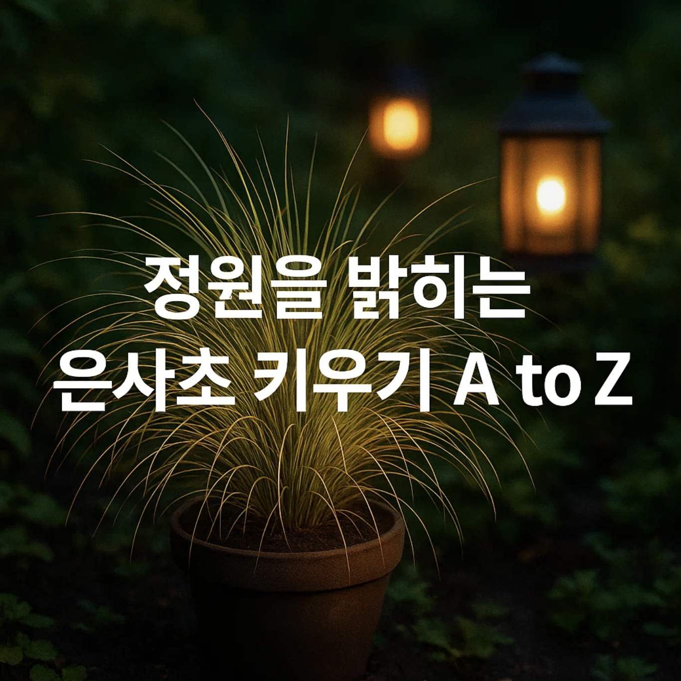 정원을 밝히는 은사초 키우기 A to Z