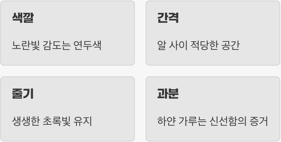 4. 실패 없는 '진짜'를 고르는 비법