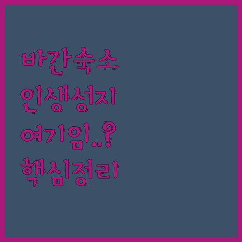 올드 바간 낭우 지역 숙소 추천 5곳..