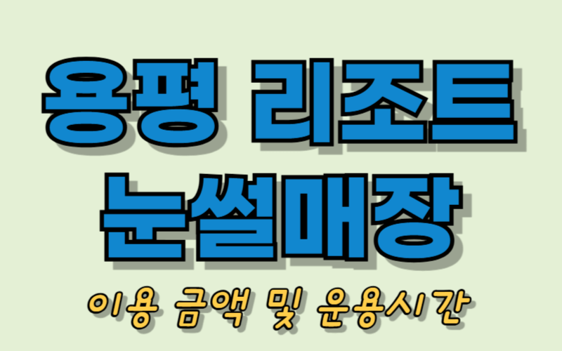 용평리조트 눈썰매장