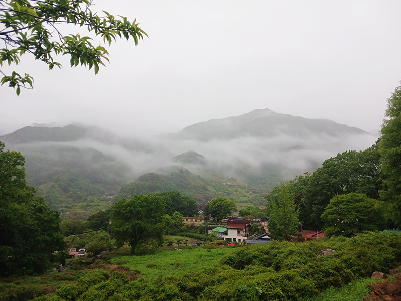 경남 쌍계사 템플스테이 신청 방법