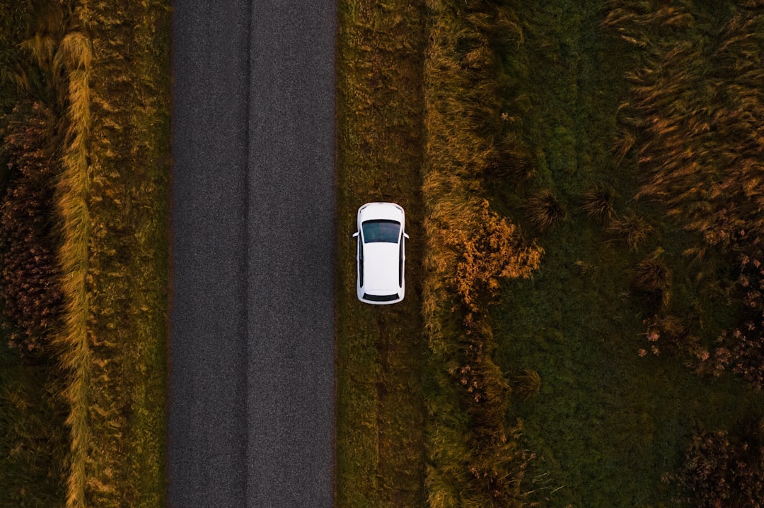 Auto-save