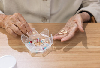 제약 바이오 관련주