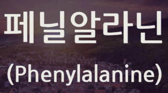 페닐케톤뇨증