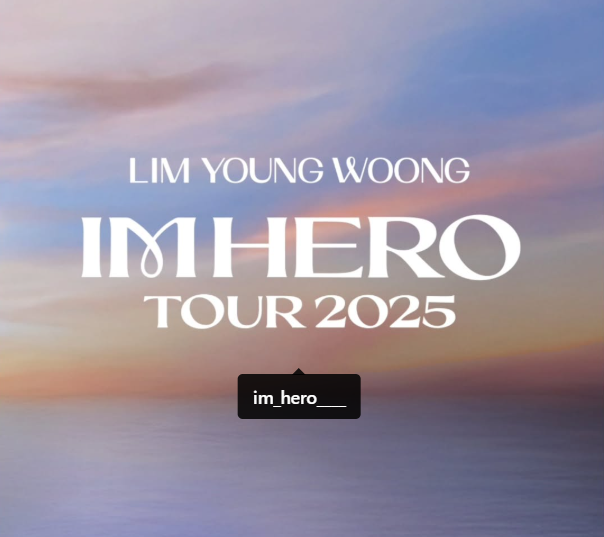 임영웅 전국투어