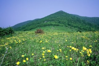 곰배령 예약하기