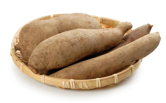 야콘 당뇨에 효능