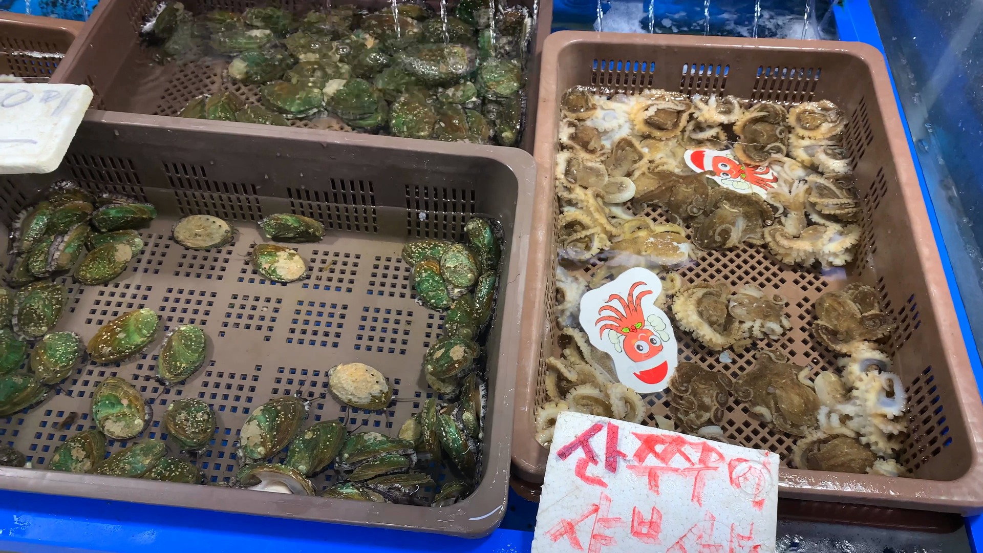 산쭈꾸미 전복