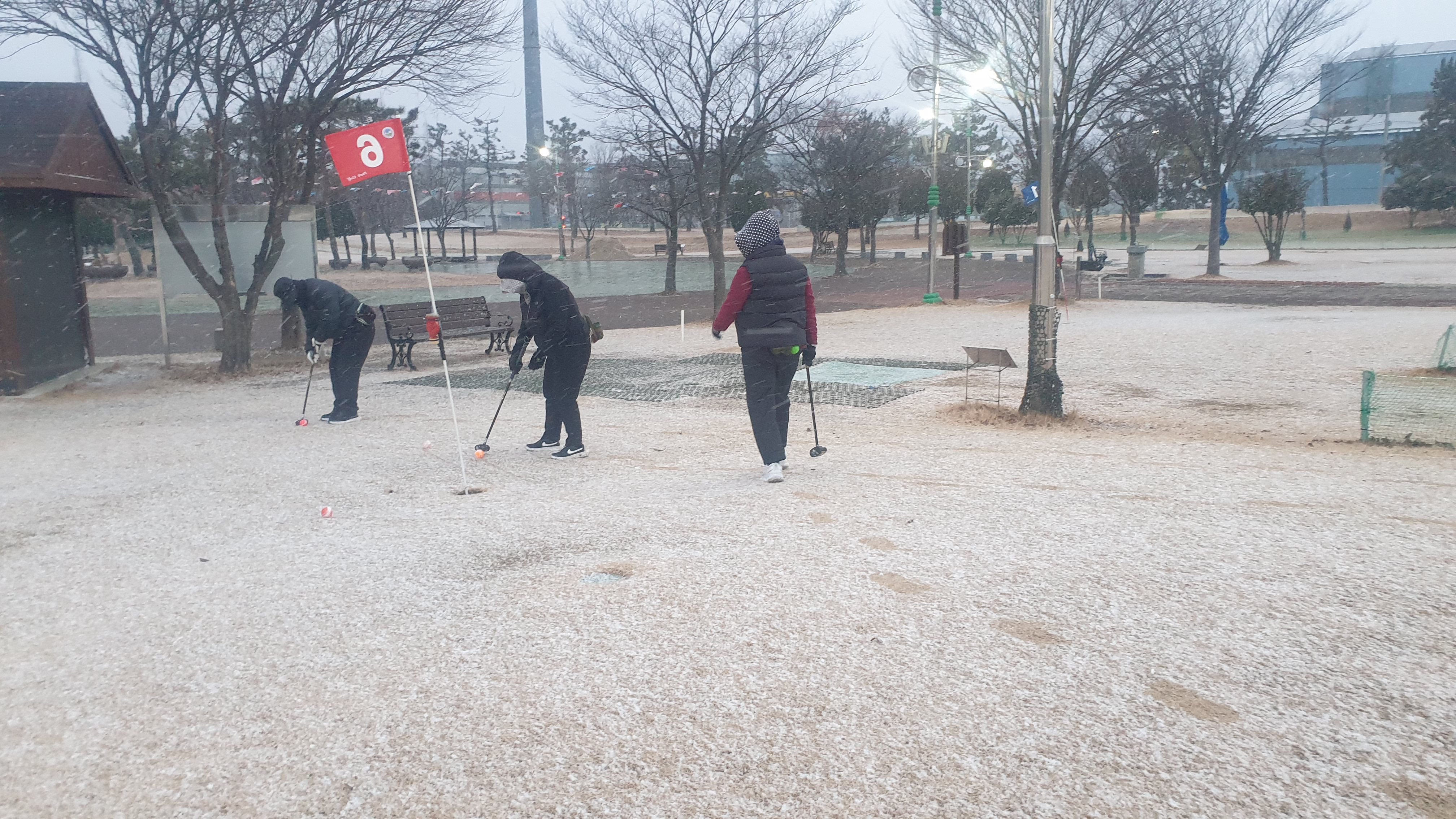 파크골프 실력 자가 테스트