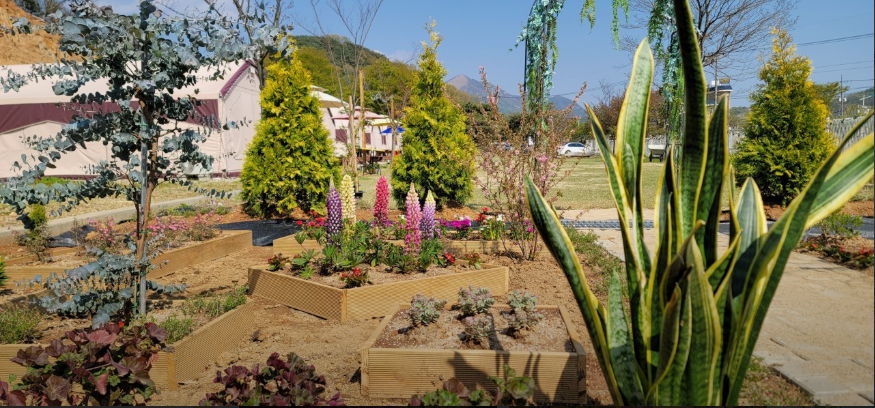 글램핑 캠핑장 - 더휴글램핑