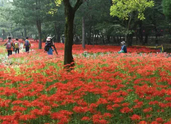 9월에 가볼만한 국내 여행지 베스트10_9