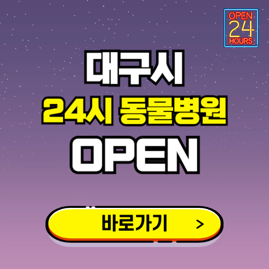 대구시 24시 동물병원 진료하는 곳 ❘ 설날 휴일 야간 심야 문여는곳 찾기 ❘ 응급진료