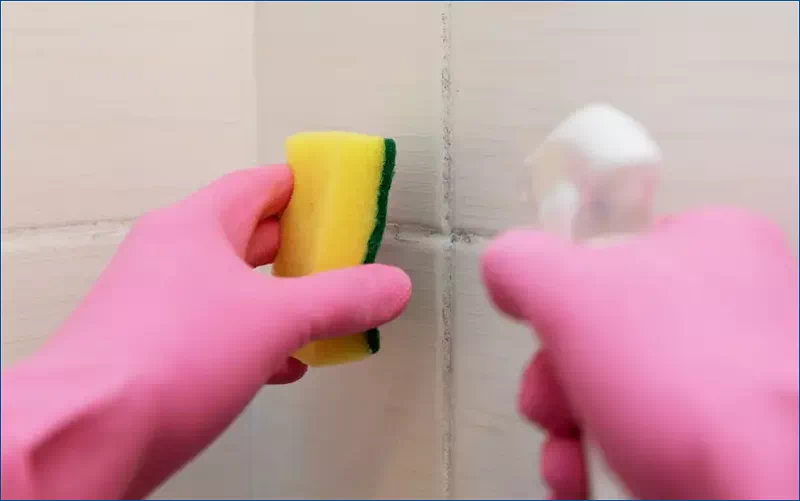 베이킹소다 청소제