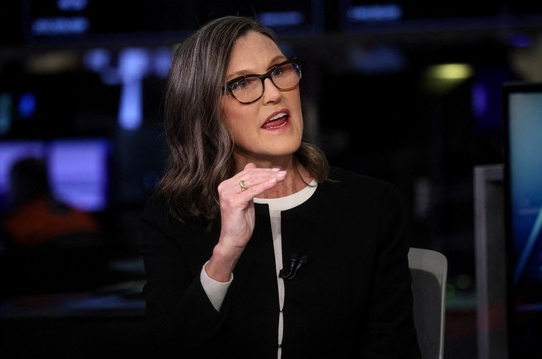 캐시우드 이미지