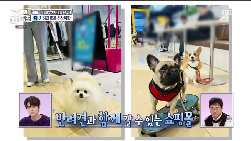 구해줘홈즈 하남 인프라 왕간다 동물병원 인접 하남시 망월동 전세 매매 매물 가격 및 구조 인테리어 리모델링 최종선택 강재준 양세찬 소개