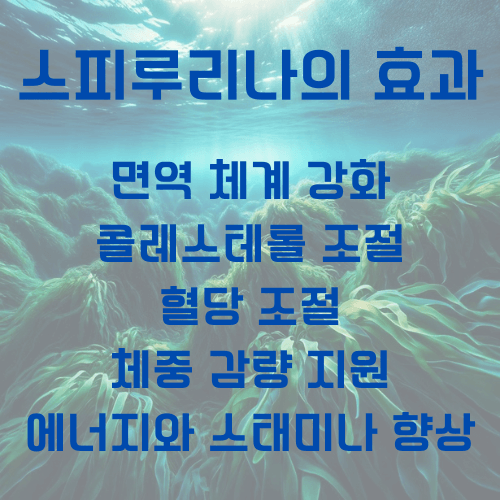 스피루리나_효과