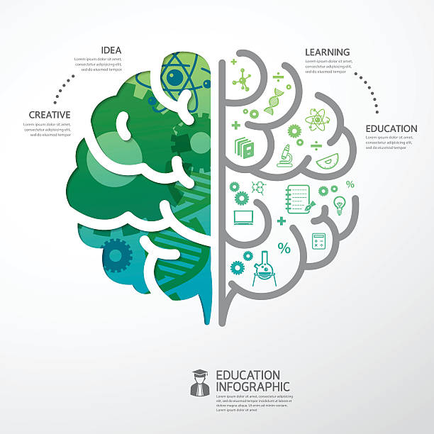 운동이 신경전달물질에 미치는 영향: 도파민 증가와 집중력 향상
