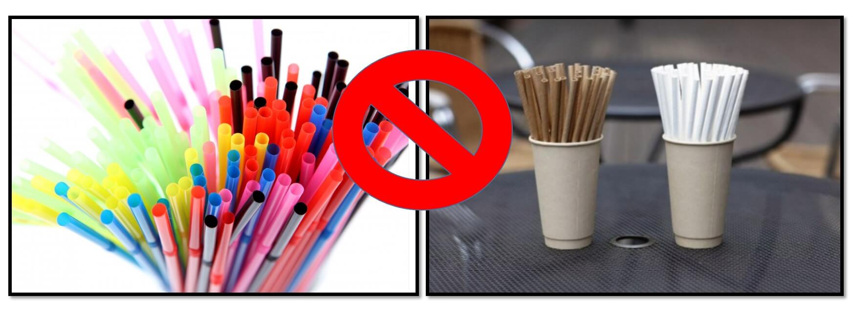 친환경종이빨대