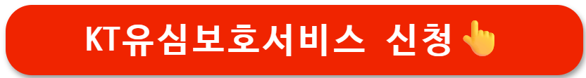 KT 유심보호서비스