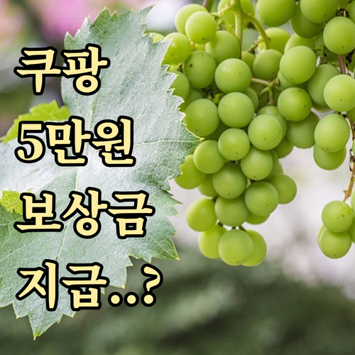 쿠팡 5만원 보상금 지급 안내 대상자..