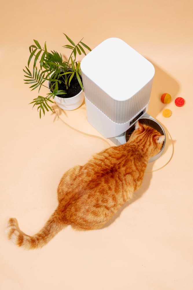 적절한 식이와 운동으로 건강을 유지하세요