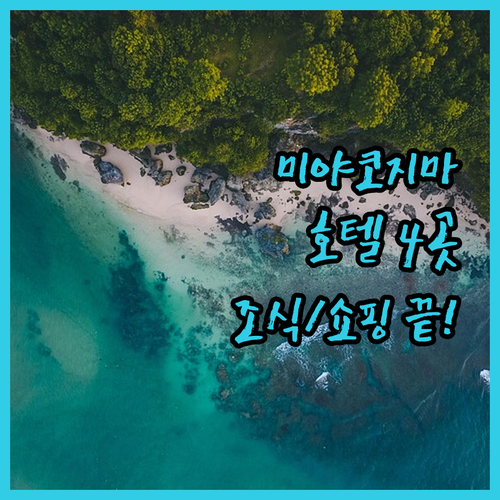 미야코지마 인기 호텔 4인방 쇼핑 편..