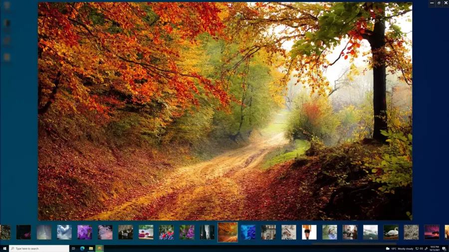 PicView 2.1 포터블 한글판