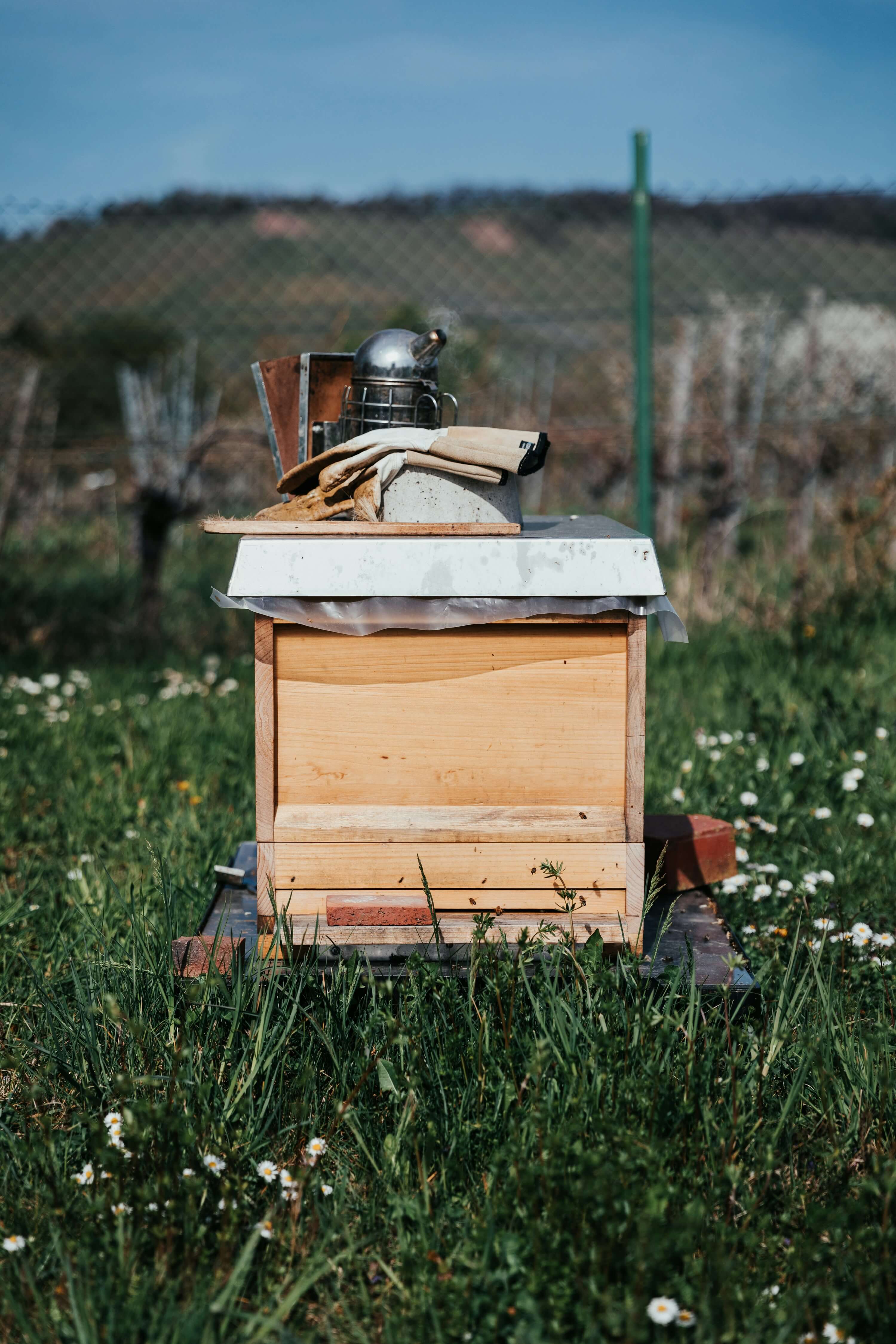 도시 양봉 키트 언박싱