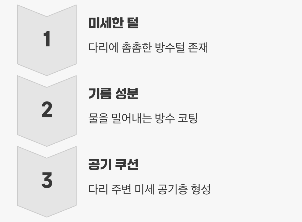 물을 밀어내는 방수 부츠의 비밀