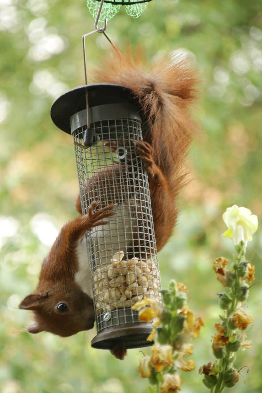 자율주행 트랙터와 로봇 농업: 스마트 농업의 미래