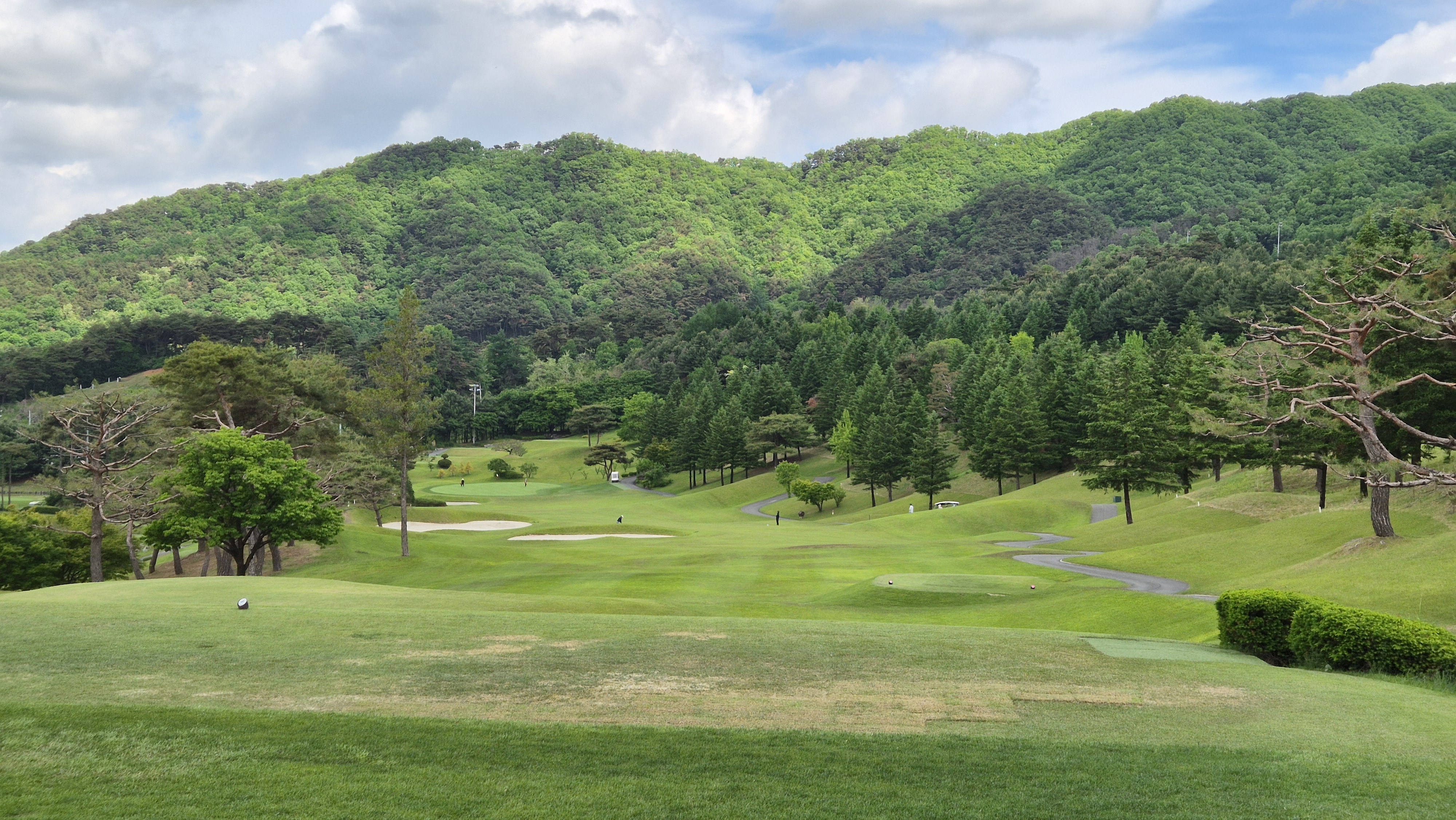 파크밸리gc 코스 사진