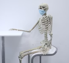 콘드로이친 효능 부작용 주의사항