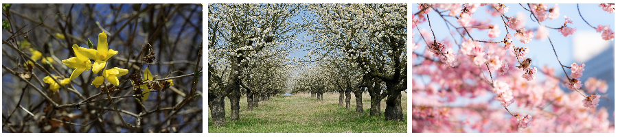 화담숲에 관해서