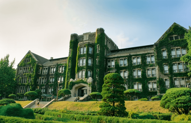 2026 정시 원서접수 일정&middot;방법 한눈에 정리