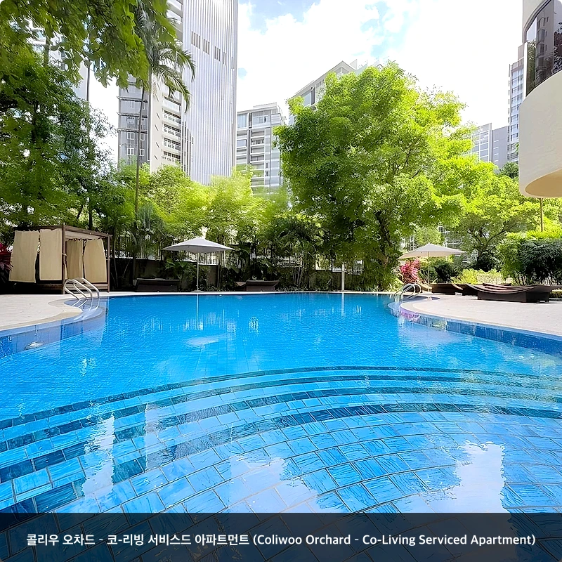 콜리우 오차드 – 코-리빙 서비스드 아파트먼트 (Coliwoo Orchard – Co-Living Serviced Apartment)_3