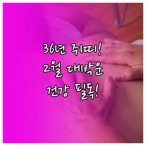 1936년생 쥐띠 2월 운세 정보와 ..