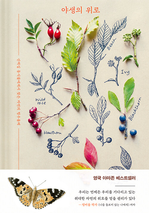 『야생의 위로』, 25년째 우울증과 함께 산 사람이 매일 숲으로 걸어 나가는 이유 표지