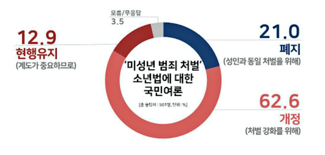 촉법소년 법 개정과 시행일 확인