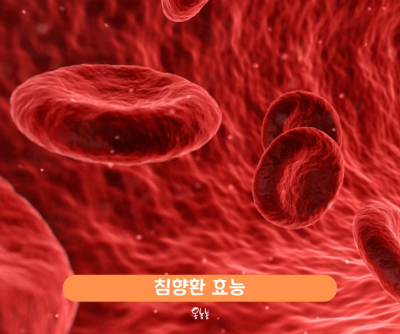 침향환 효능
