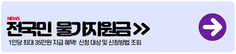 전국민 물가지원금