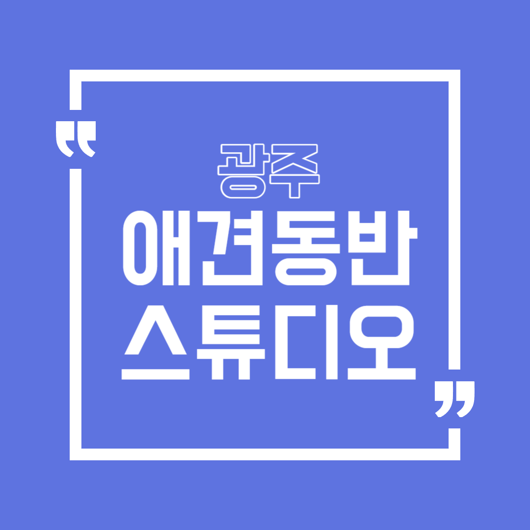 광주 애견동반 스튜디오