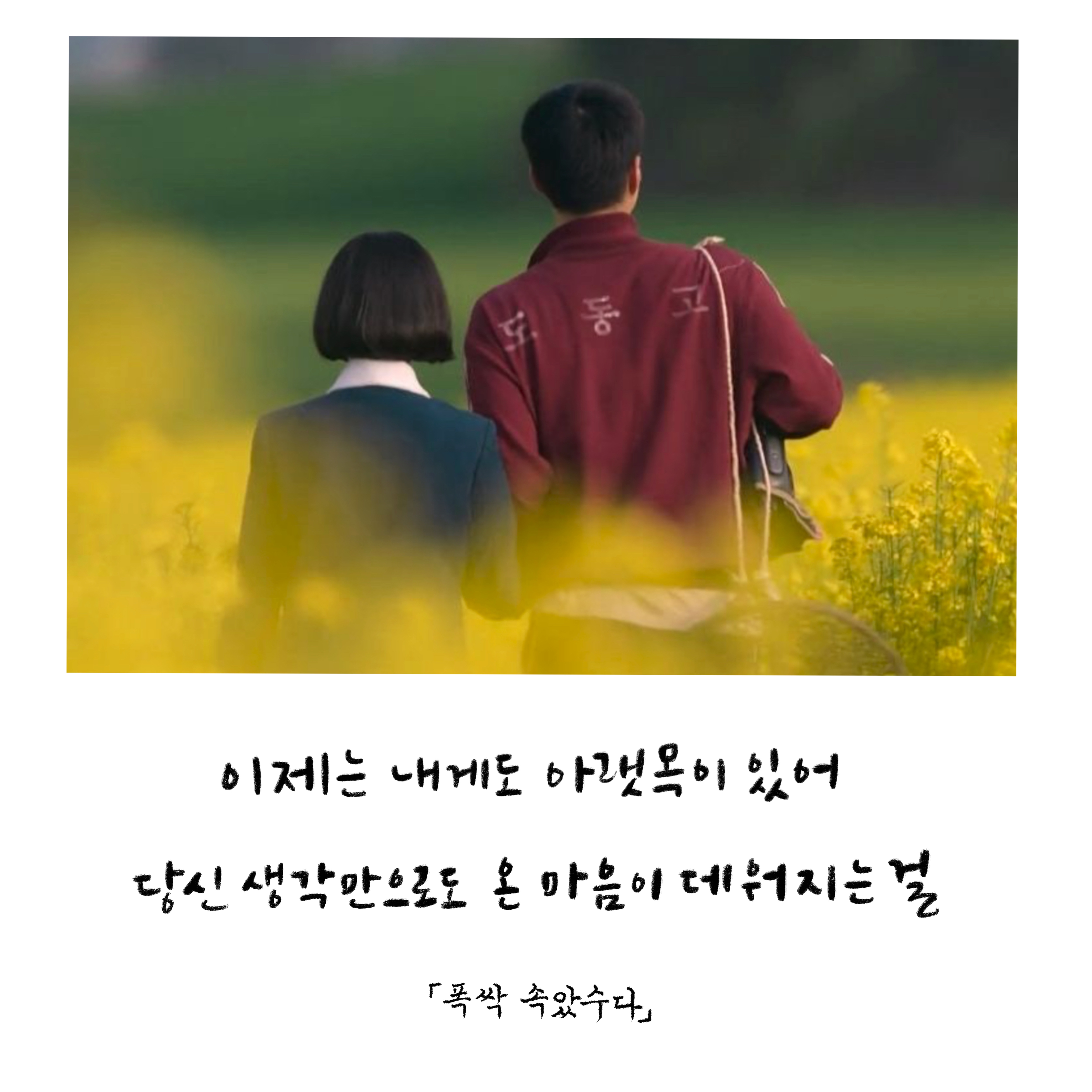 &lt;폭싹 속았수다&gt; 명대사 50개 모음