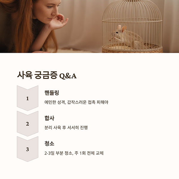 사육 궁금증