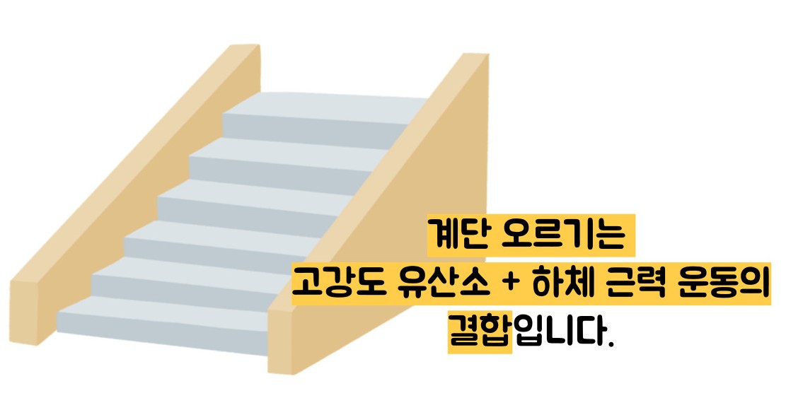 계단오르기 운동효과