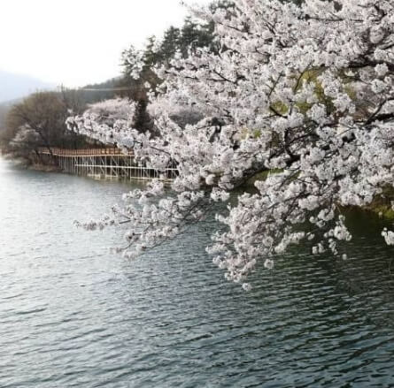 나주 가볼만한곳 베스트 10